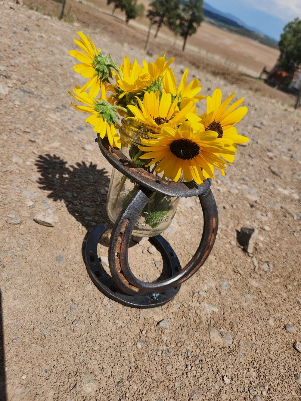 Rustic Horseshoe Mason Jar Vase - Yellow Sunflower Accent